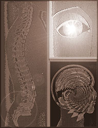 CT   Scans