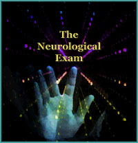 The Neuropsychological Exam