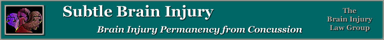 Subtle Brain Injury Banner