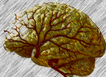 Brain Graphic