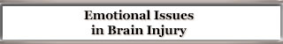 Emotional Issues in Brain Injury