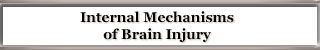 Internal Mechanisms of Brain Injury