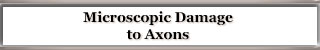 Microscopic Damage
