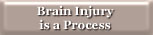 Brain Injury is a Process