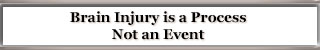 Brain Injury is a Process