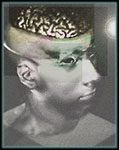 Revealed brain