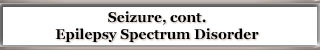 Seizure, cont.