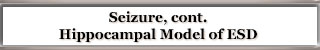 Hippocampal Model for ESD