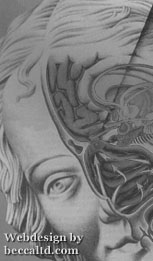 Sensory Brain