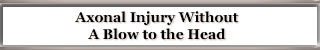 Axonal Injury - Shear