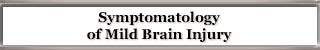 Symptomatology of Mild Brain Injury